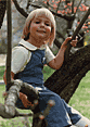 in dogwood tree