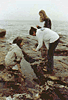 tidepool