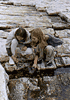 tidepool