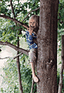 Jeff in the tree